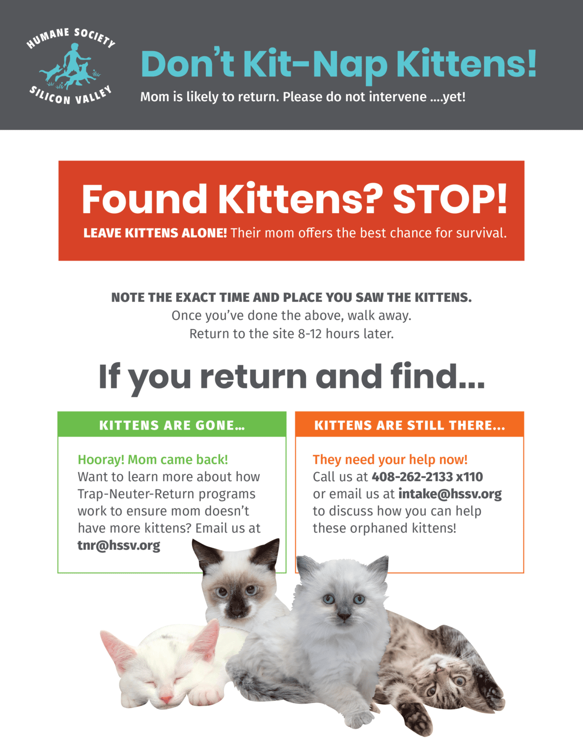 Lost & Found - Humane Society Silicon Valley - What to Do For Lost Pets